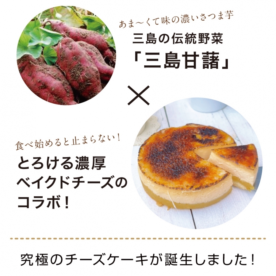 究極のチーズケーキ blueberry