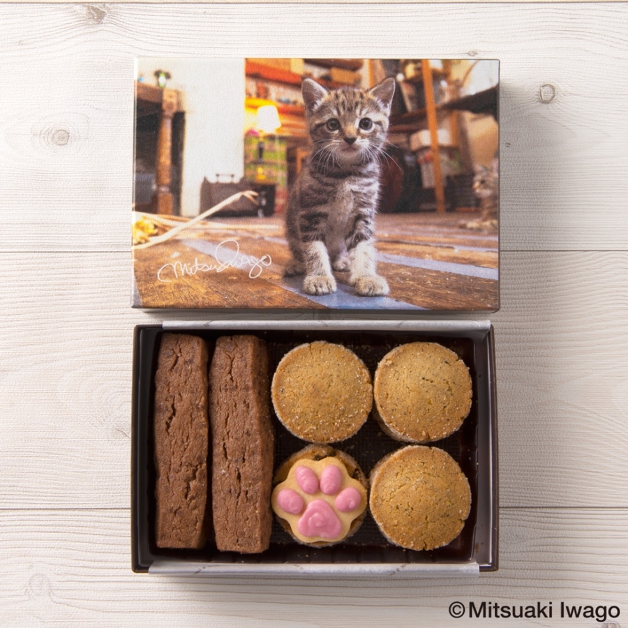 昭和レトロ希少❣【リーベ＆エルフ】白猫たち３匹 世界の猫 クッキーアソート LadyBear オンラインショップ