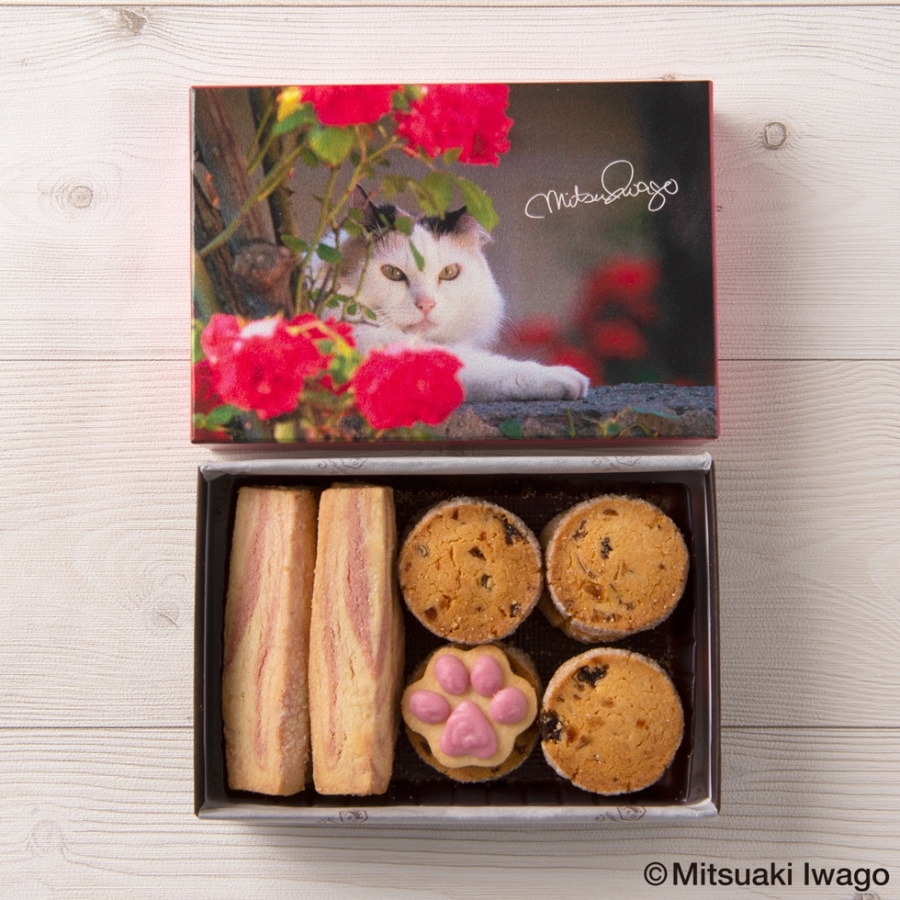 世界の猫 クッキーアソート パティスリーQBG オンラインショップ