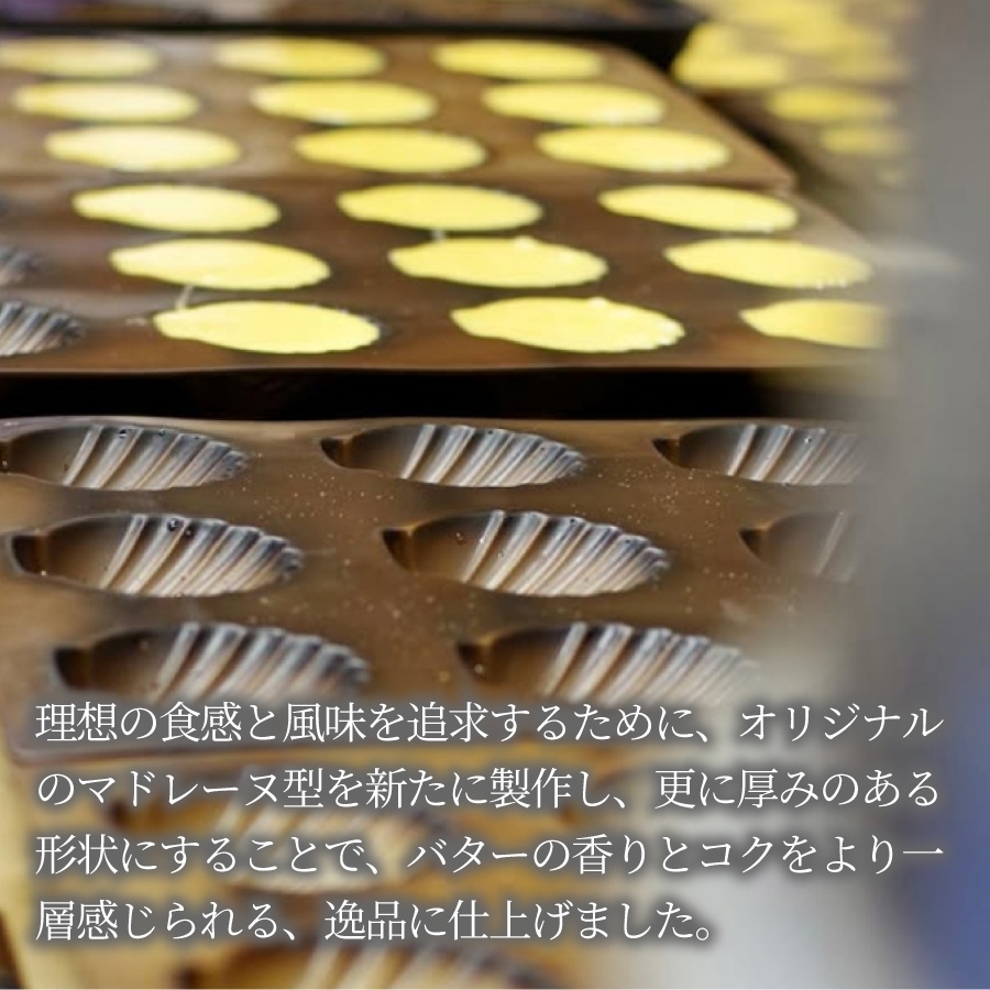 業務用マドレーヌ型32連2枚セットとフィナンシェ型30連1枚 27℃】マドレーヌ＆フィナンシェセット（M） | 堂島ロールの