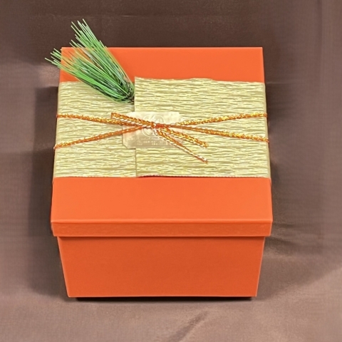 �j���[�C���[�Y�@�Q�i�M�t�g�{�b�N�X