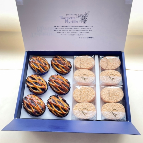 �u���[�x���[�p�C�l����