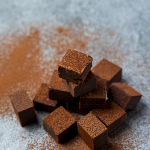 ���`���R���[�g