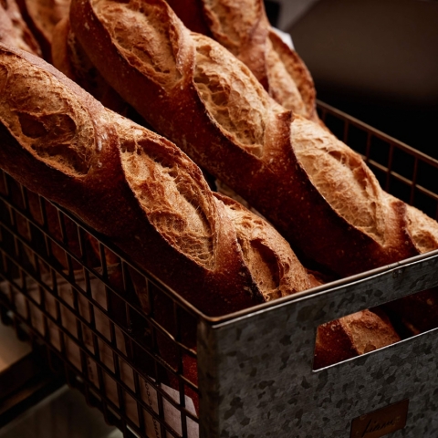 �o�Q�b�g���y�E���E�j�����聄