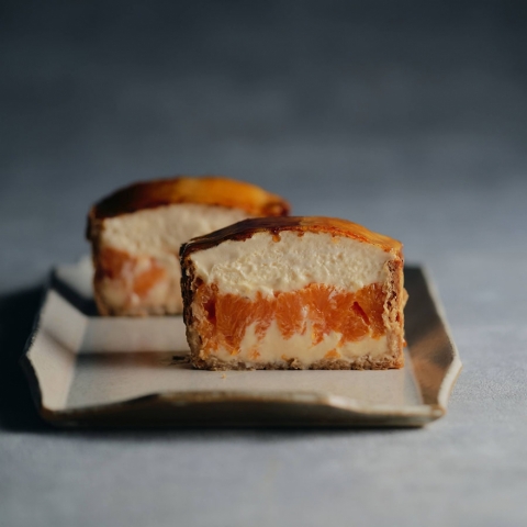 �V�u�X�g �i�G�߂̊��k�j