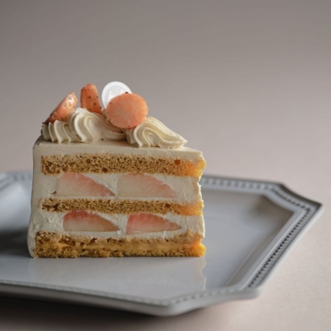 �v���~�A�� �Z�]���@���W�၄