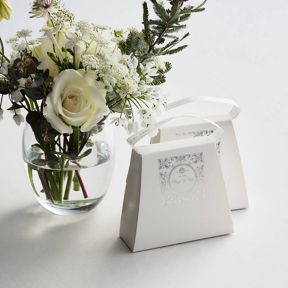 �u���C�_���@�v�`�o�b�N