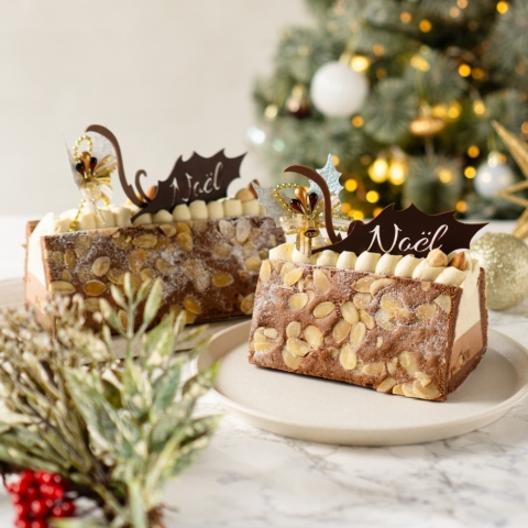 �m�G���E�V���R���o�i���k