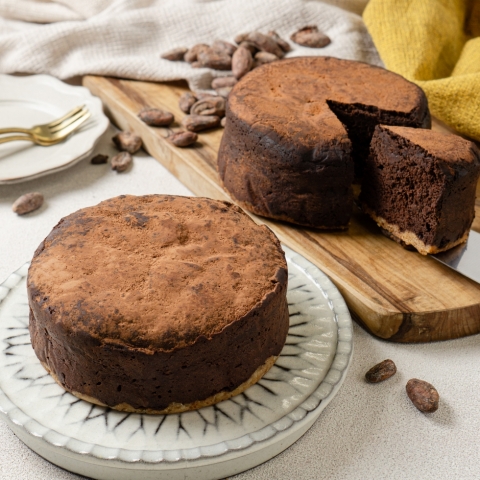 �K�g�[�V���R��