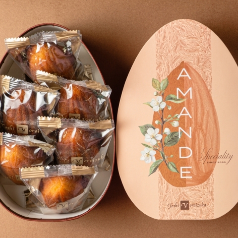 �V�������E�A�}���h�i6���j