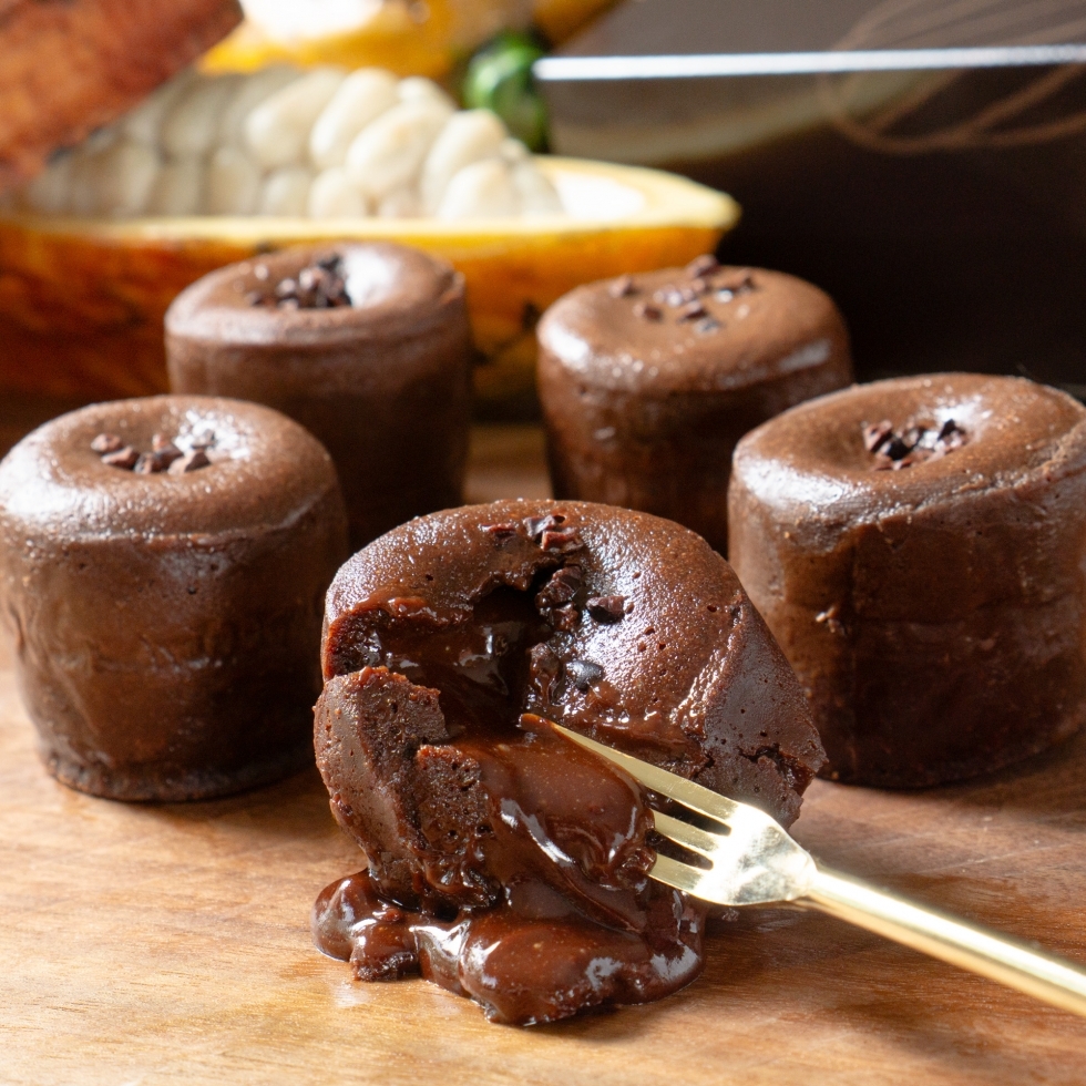 �t�H���_���V���R���E�G�N�A�h��