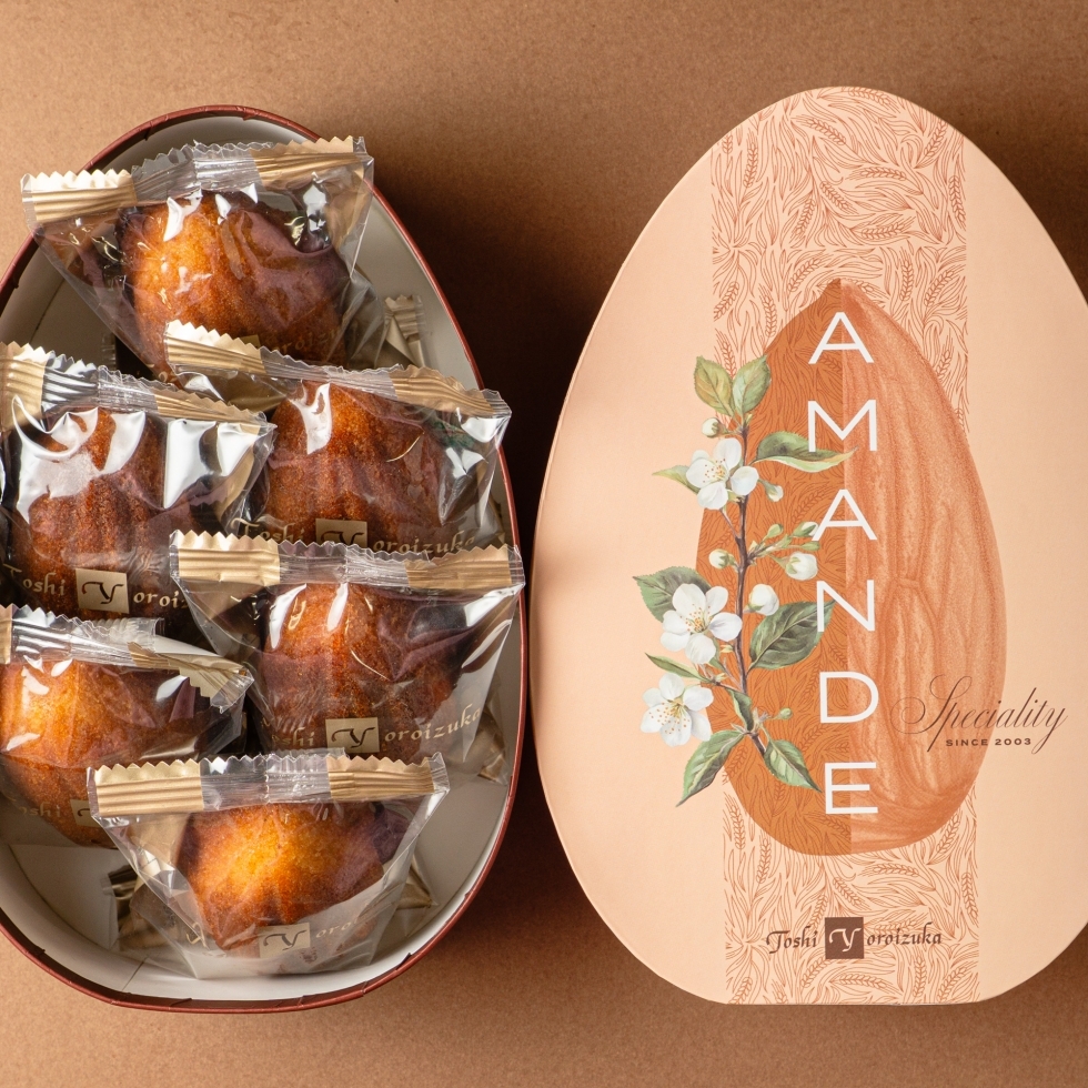 �V�������E�A�}���h�i6���j