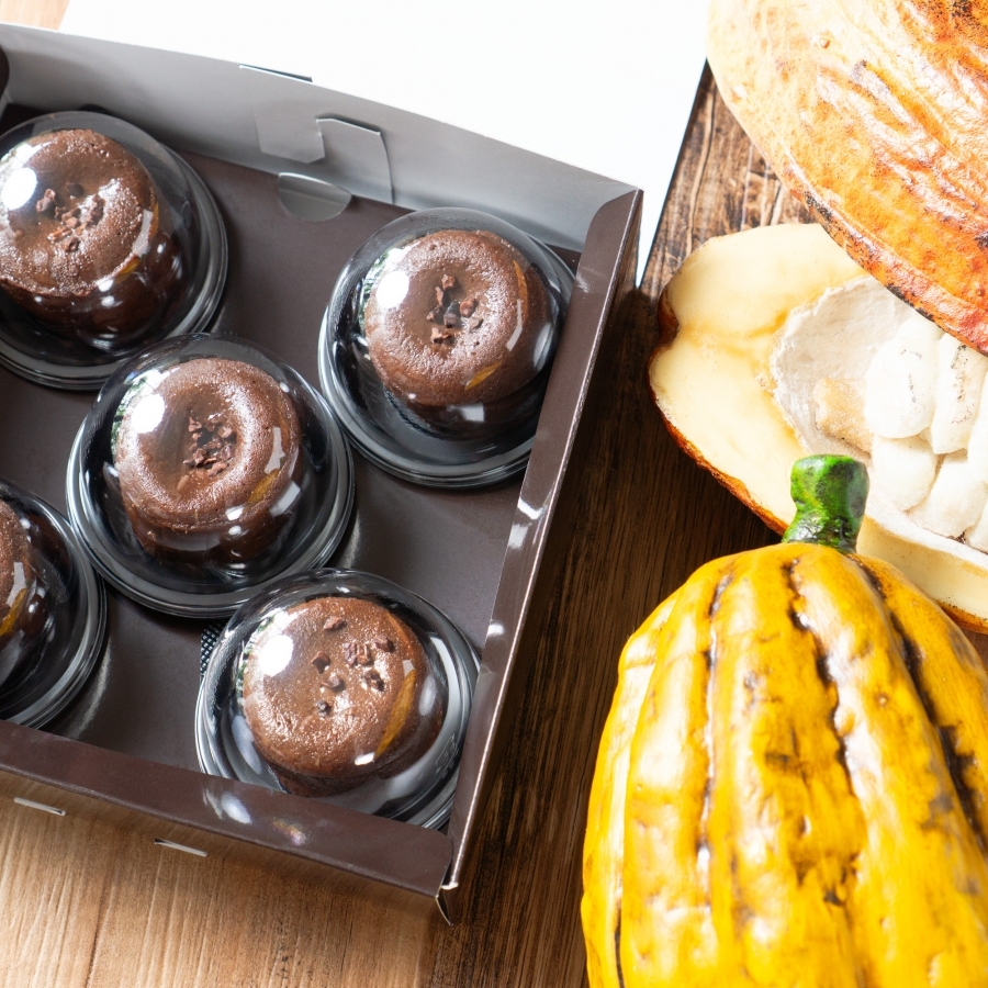 フォンダンショコラ・エクアドル トシ・ヨロイヅカ