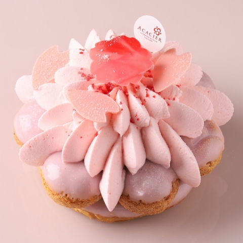 �T�N���E�A���g���l�b�g