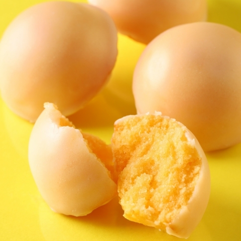 �t�H���_���E�V�g�����y��������z