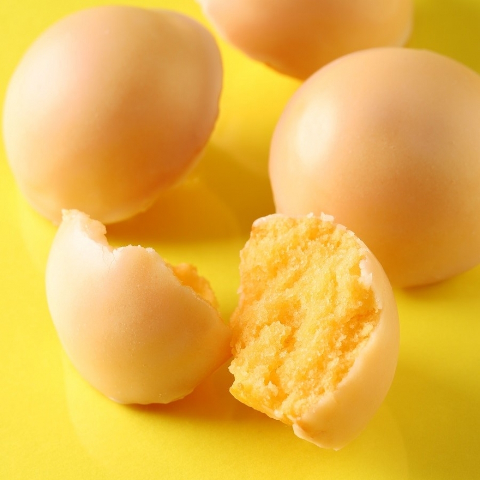 �t�H���_���E�V�g����