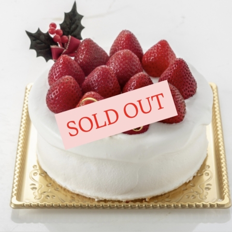 �v���~�A���V���[�g