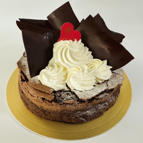 �K�g�[�V���R��6��