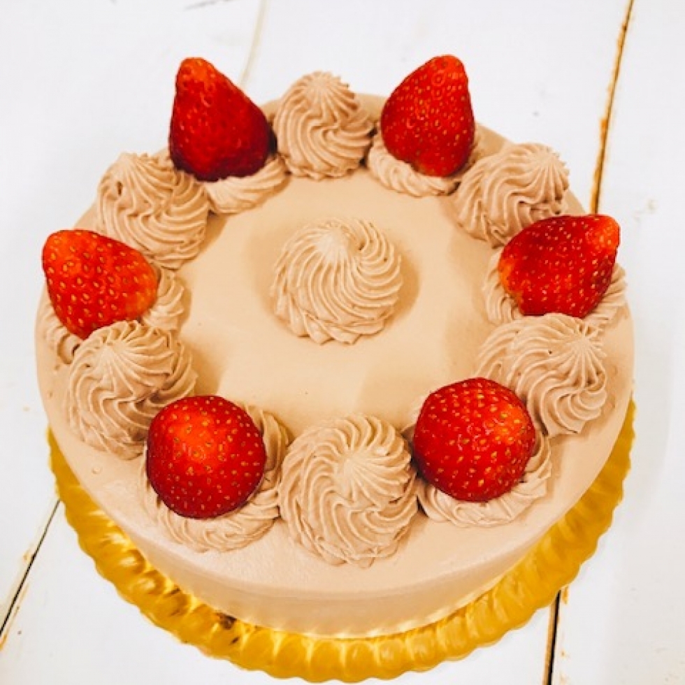 �`���R���f�R���[�V����