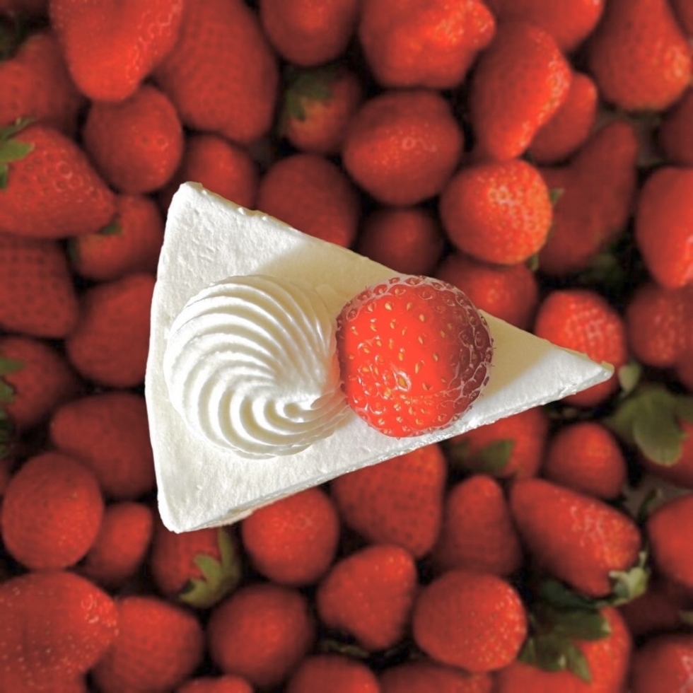 �V���[�g�P�[�L