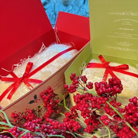 �V���g�[����