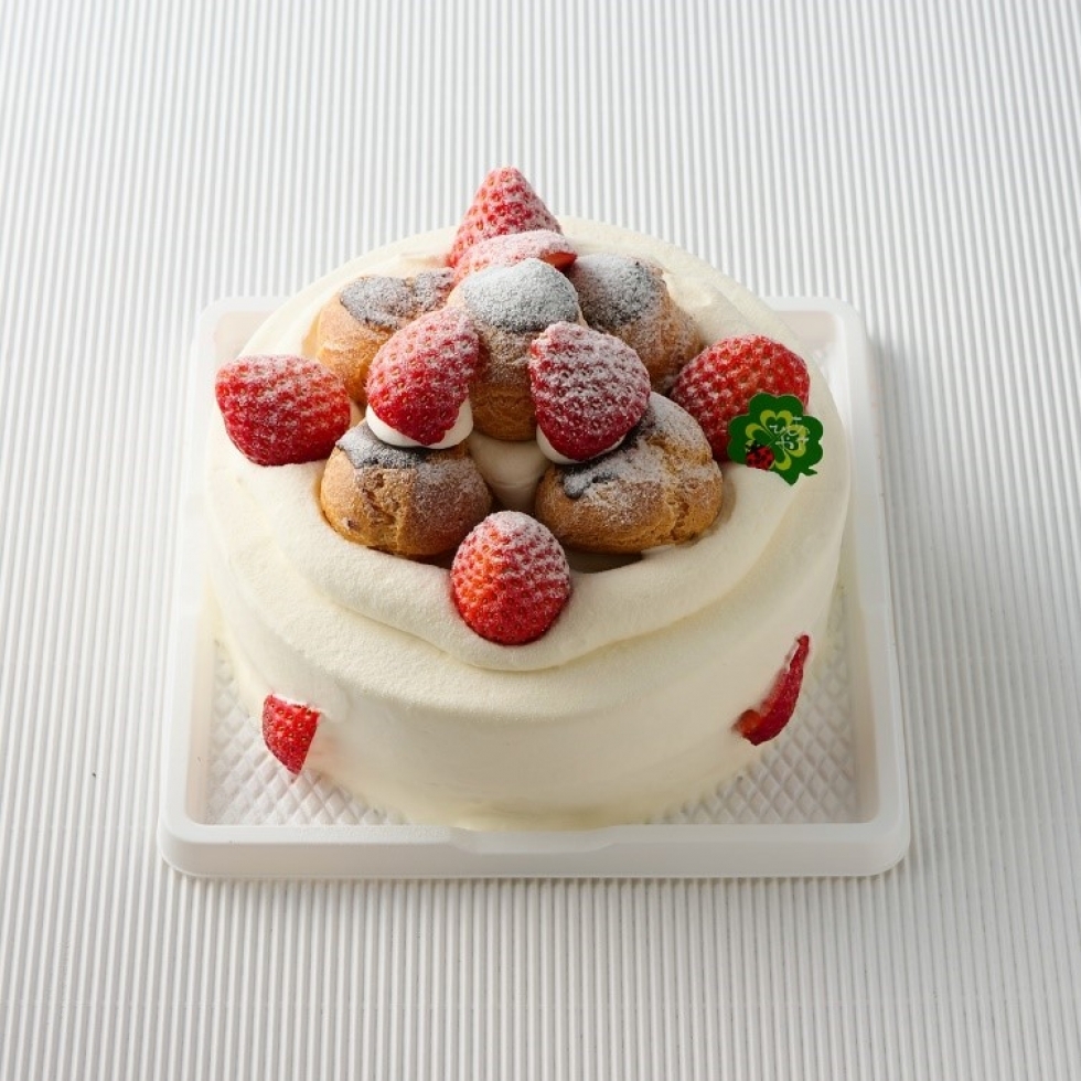 �V���[��䕂̐��N���[���f�R���[�V����