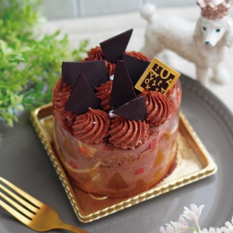 �y�R���f�R�z�`���R���N���[���f�R