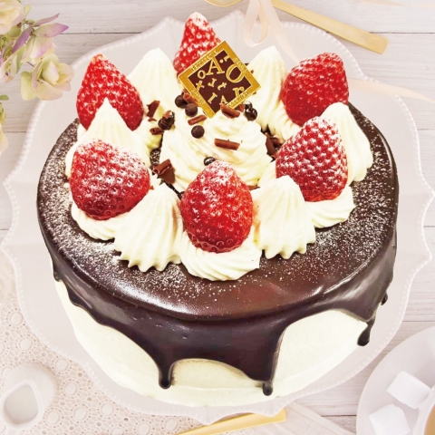 �y�I�v�V�����z�`���R����(�O���T�[�W��)