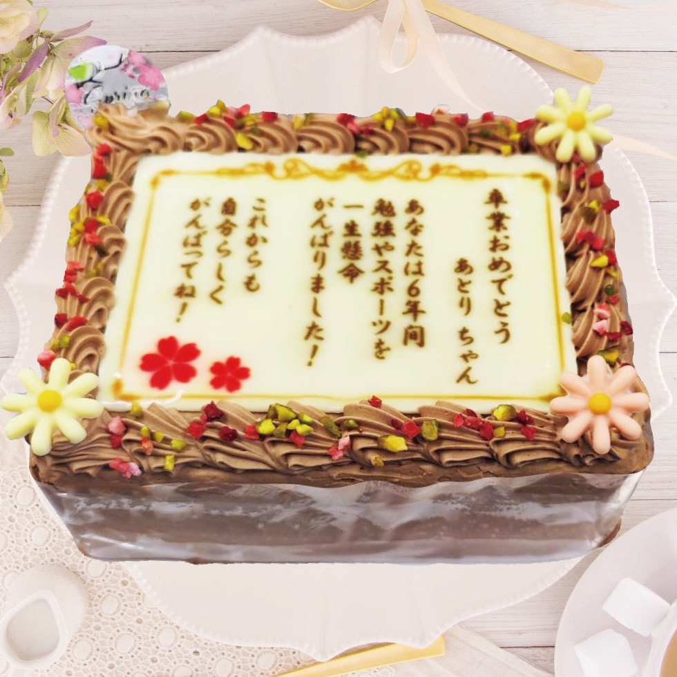 �\����f�R���[�V�����i�`���R�N���[���j