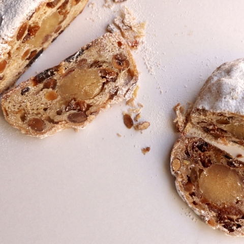 �V���g����