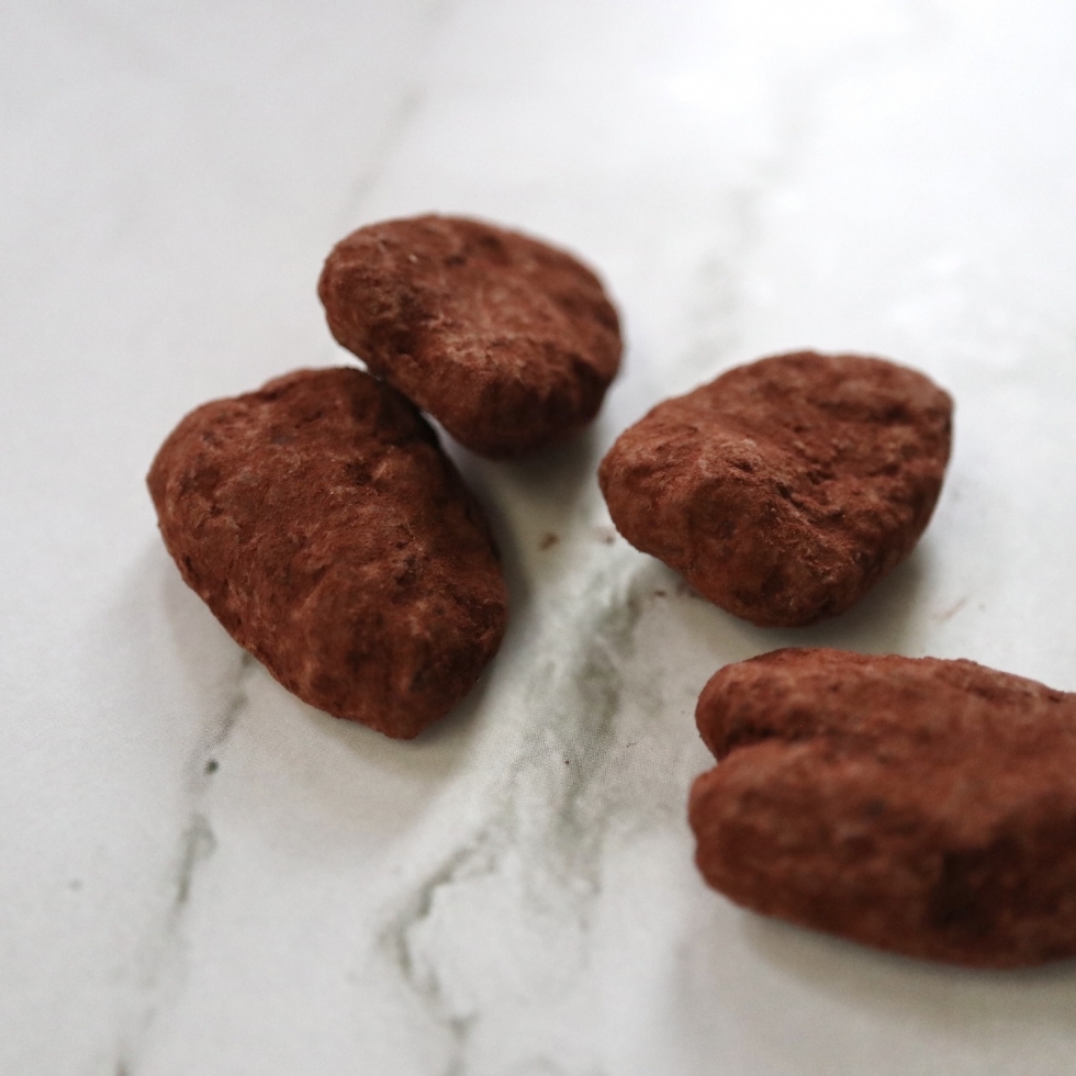 �y�J���V���R��