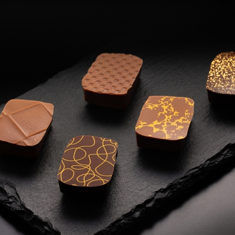 �V���R���E�I�E�t�����C