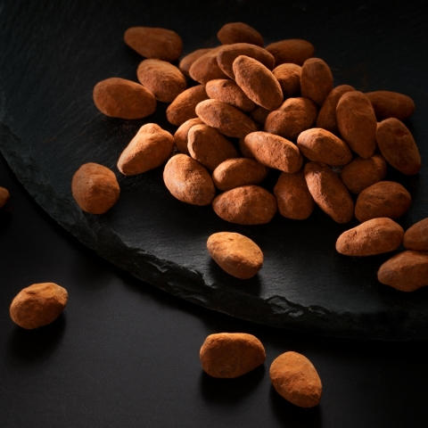 �A�}���h�E�V���R��