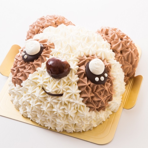 �p���_�����