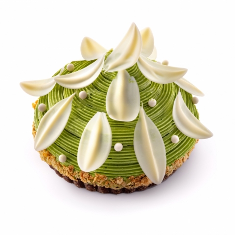 �������Ȃ��^���g