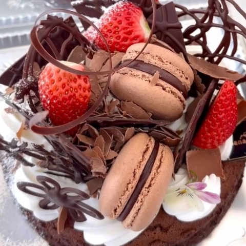 �o�����^�C������K�g�[�V���R��