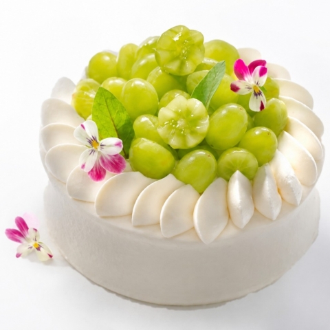 �V���C���}�X�J�b�g�f�R���[�V����