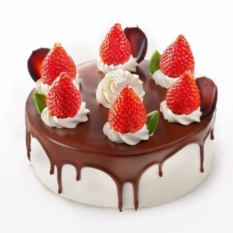 �A���W�F���[�i(䕏���)