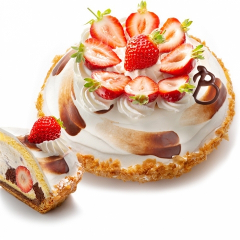 �T���t�@�\��