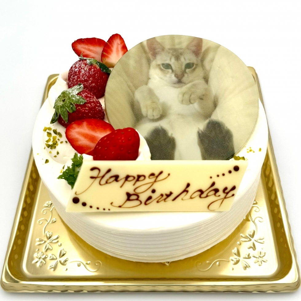 �v�����g�f�R