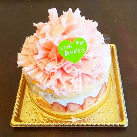 �J�[�l�[�V�����P�[�L