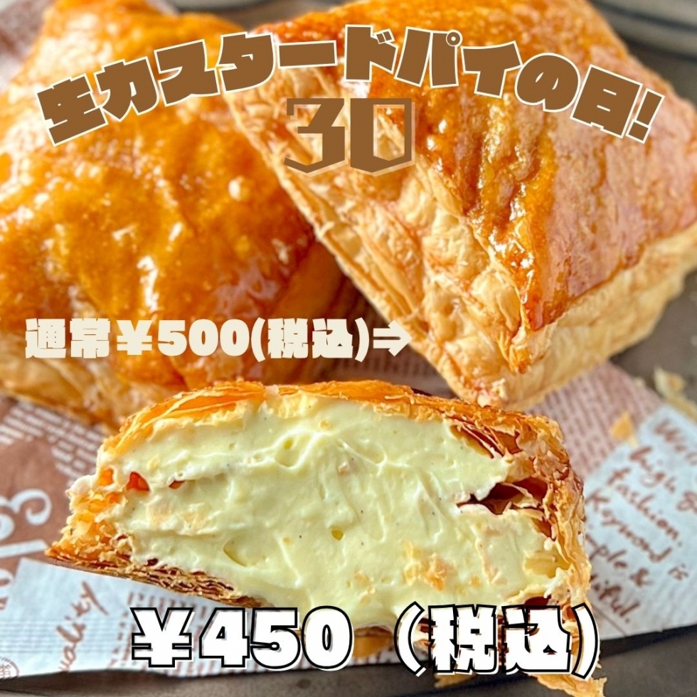 ���J�X�^�[�h�p�C�̓�