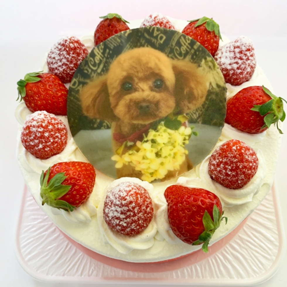 �L�����N�^�[�P�[�L