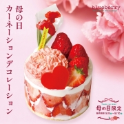 ��̓��J�[�l�[�V�����f�R���[�V����