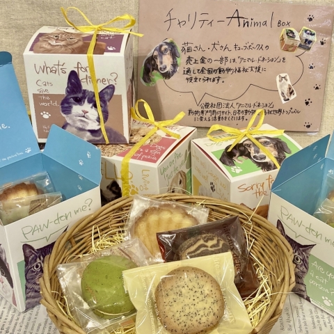 `eB[Animal BOX