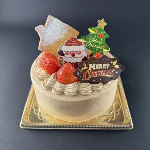 �A�`���R���f�R���[�V����