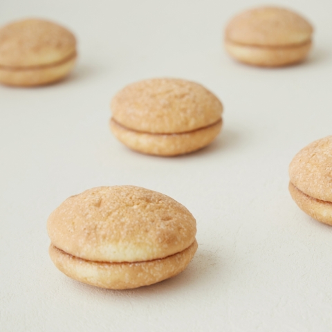 �u�b�Z�@�P�i�̔�