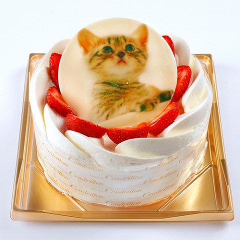 �v�����^�[�P�[�L