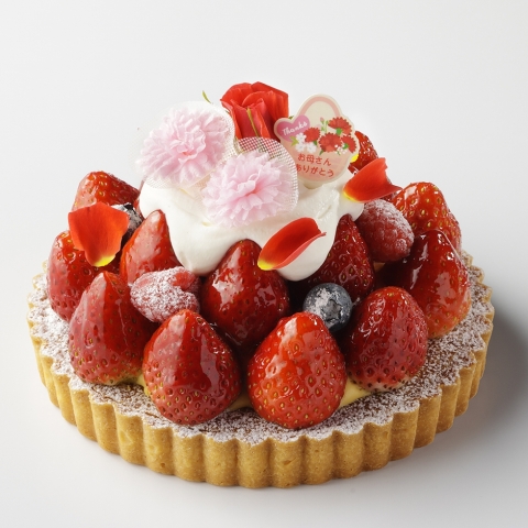 ��̓��^���g