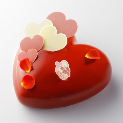 ��̓��V���R��